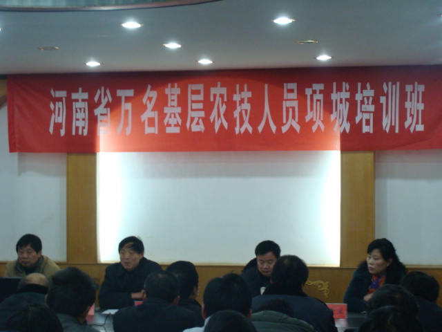 项城市人口_项城市人口计生委打造干部新形象(2)