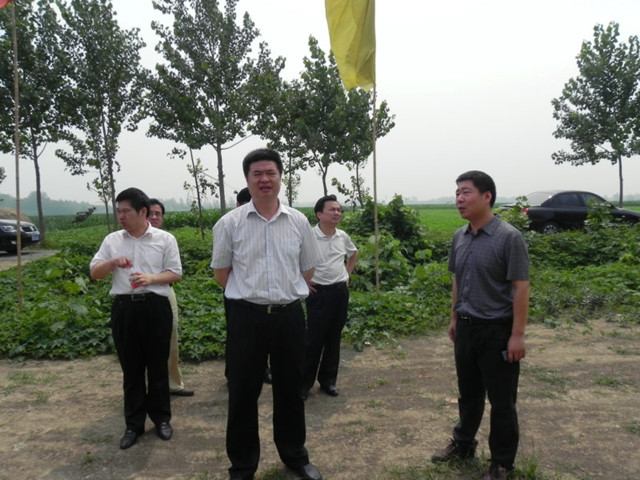 河南项城范集镇范集村人口_河南项城规划建设图
